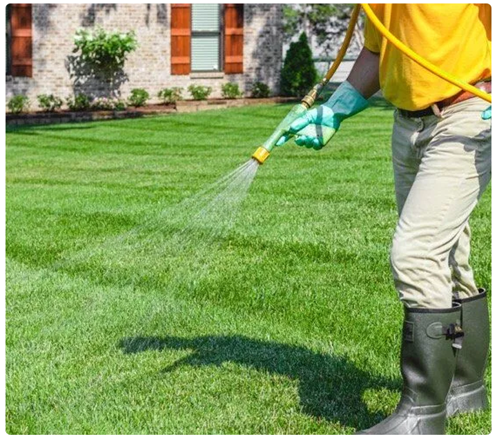 Bye-Bye Weeds! Choosing the Right Lawn Weed Control Service