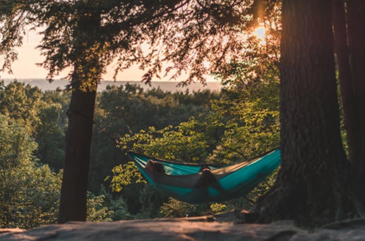 man sleeping in hammock in the woods near trees