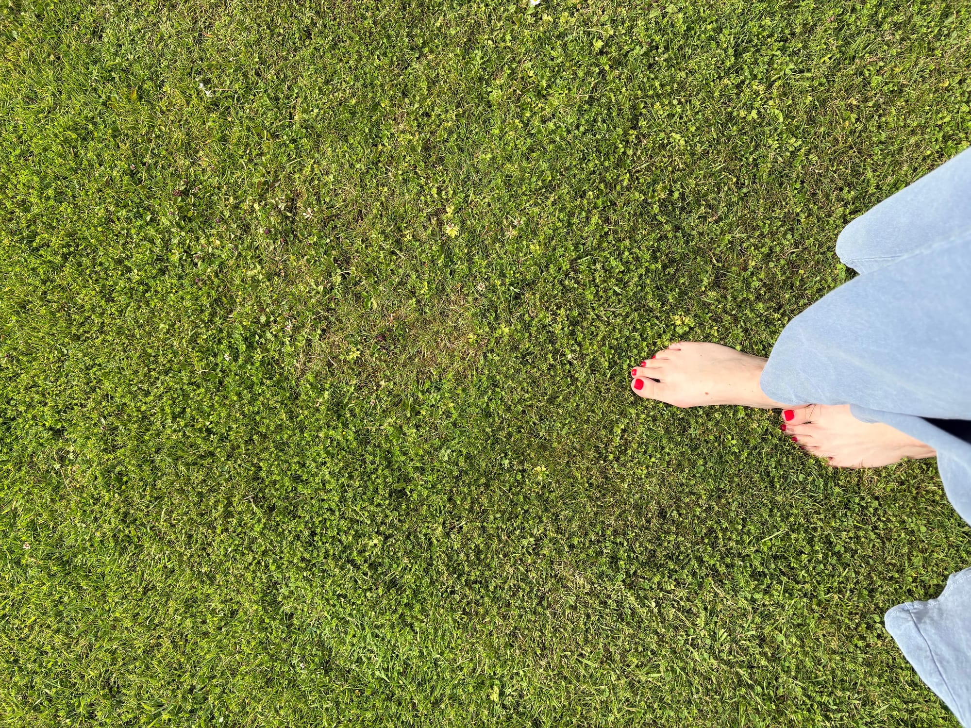Not Closure, but Clarity: Navigating Silence, Space, and Neurodivergence During Separation
