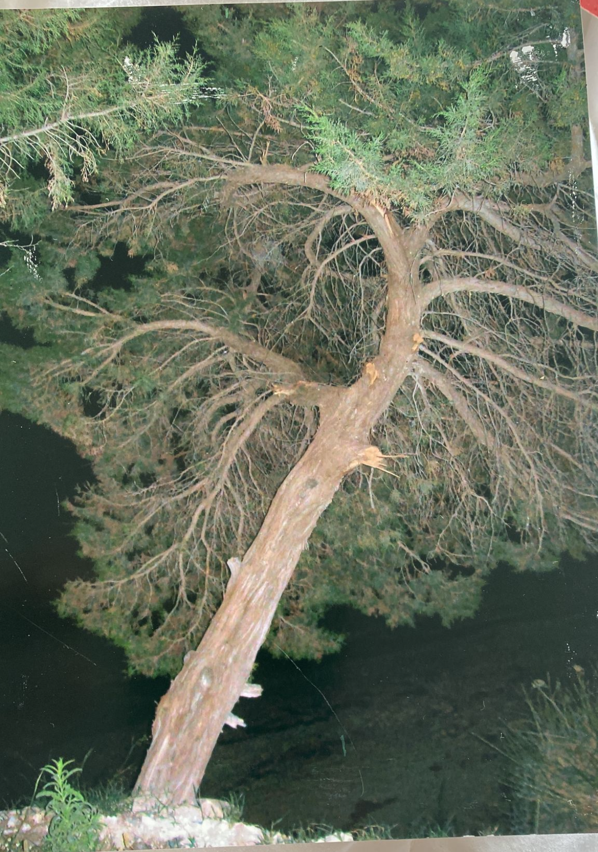 FRUSTRATION and RAGE