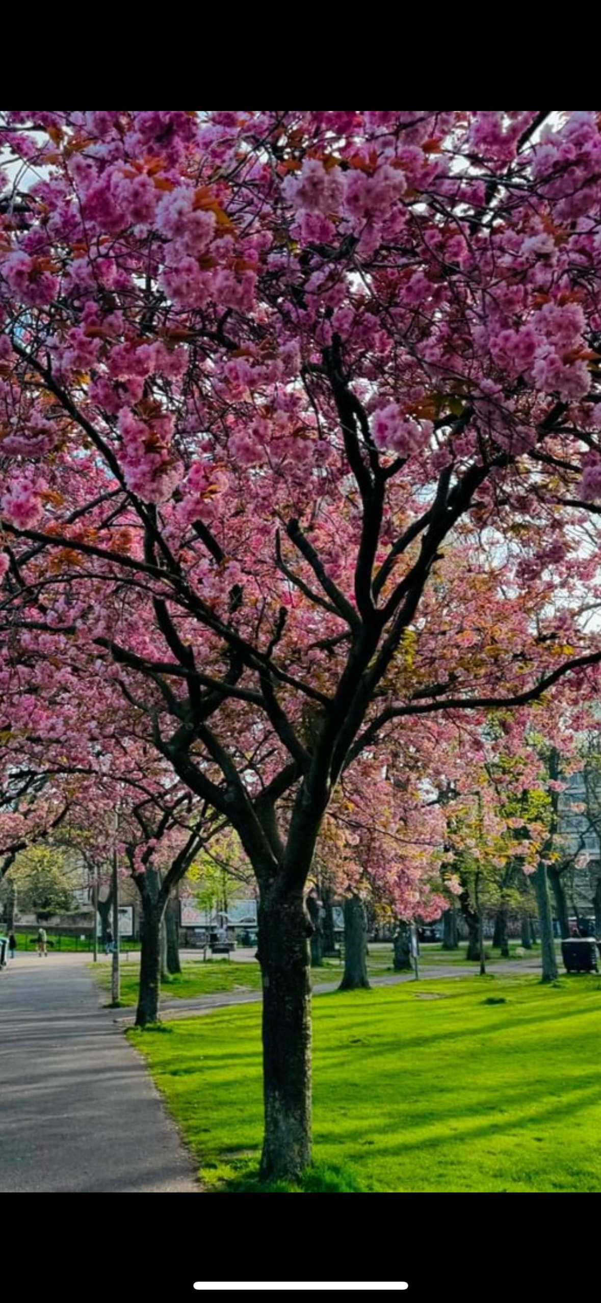 On Being Productive While in Burnout