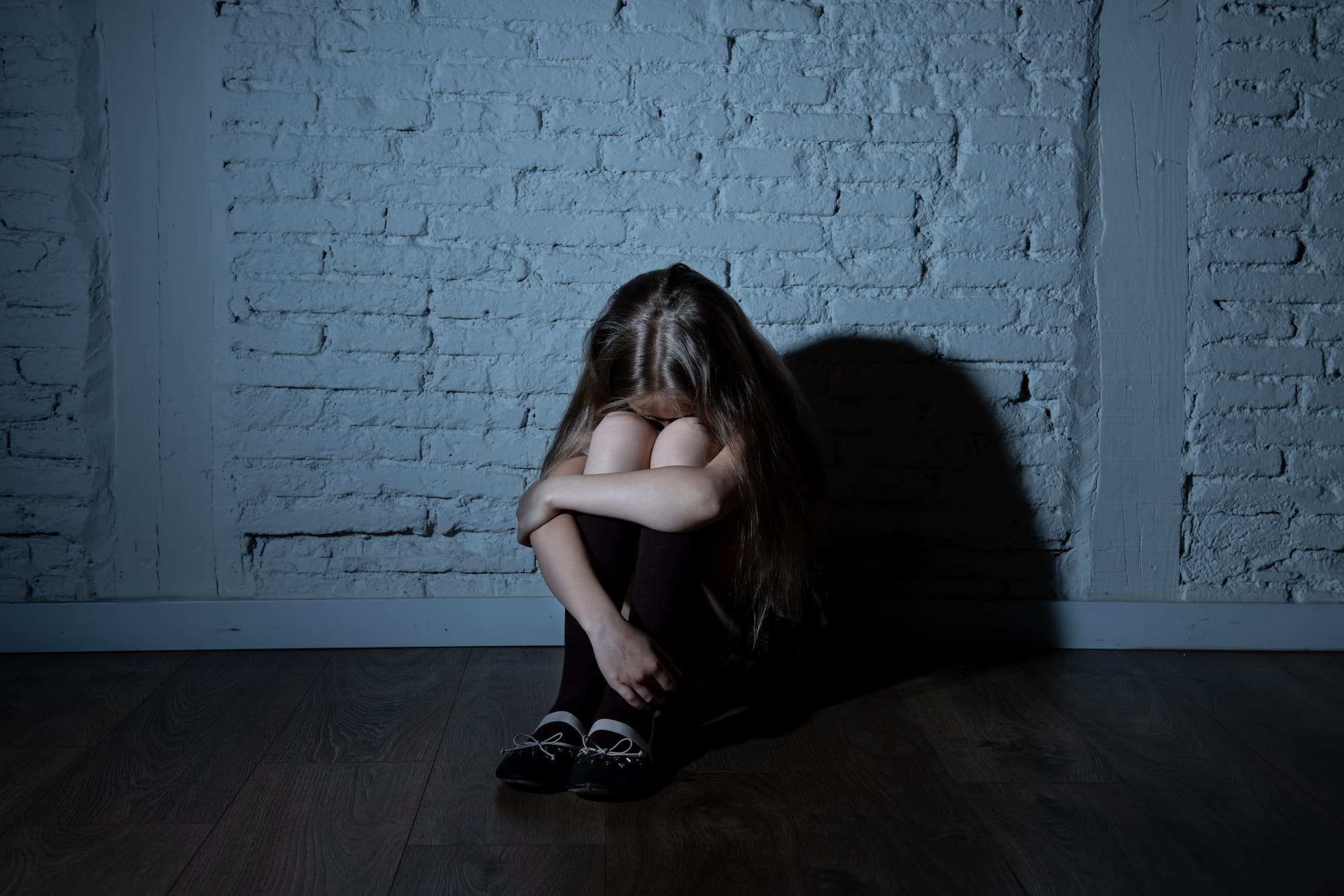 FEAR SHAME GUILT BLAME