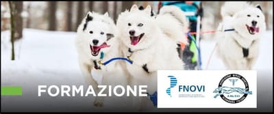 EVENTI FNOVI / AMeSVI
