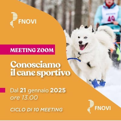 WEBINAR FNOVI / AMeSVI