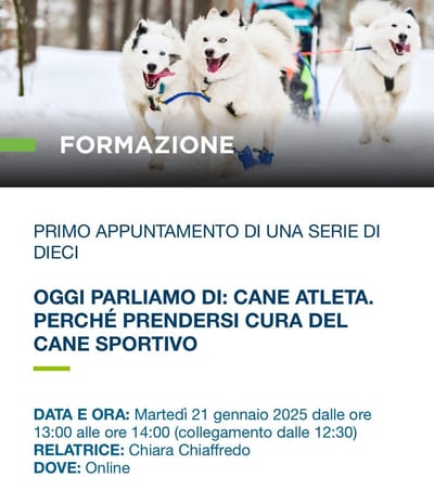 Webinar Fnovi - Amesvi. Oggi parliamo di: perchè prendersi cura del cane sportivo