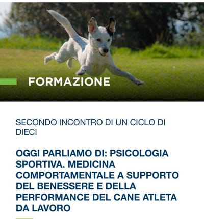 Webinar Fnovi -Amesvi. Oggi parliamo di: psicologia sportiva.