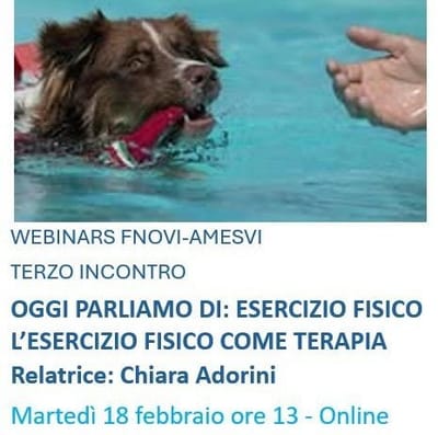Webinar Fnovi -Amesvi. Oggi parliamo di: esercizio fisico.