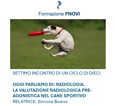 Webinar Fnovi -Amesvi. Oggi parliamo di: radiologia