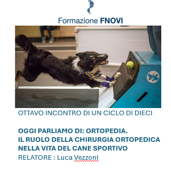 Webinar Fnovi -Amesvi. Oggi parliamo di: ortopedia