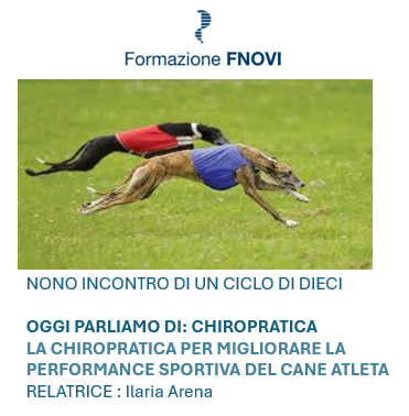 Webinar Fnovi -Amesvi. Oggi parliamo di: chiropratica