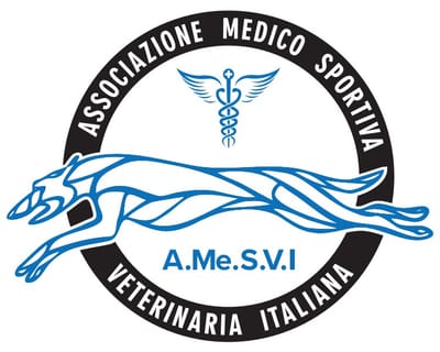A.Me.S.V.I.