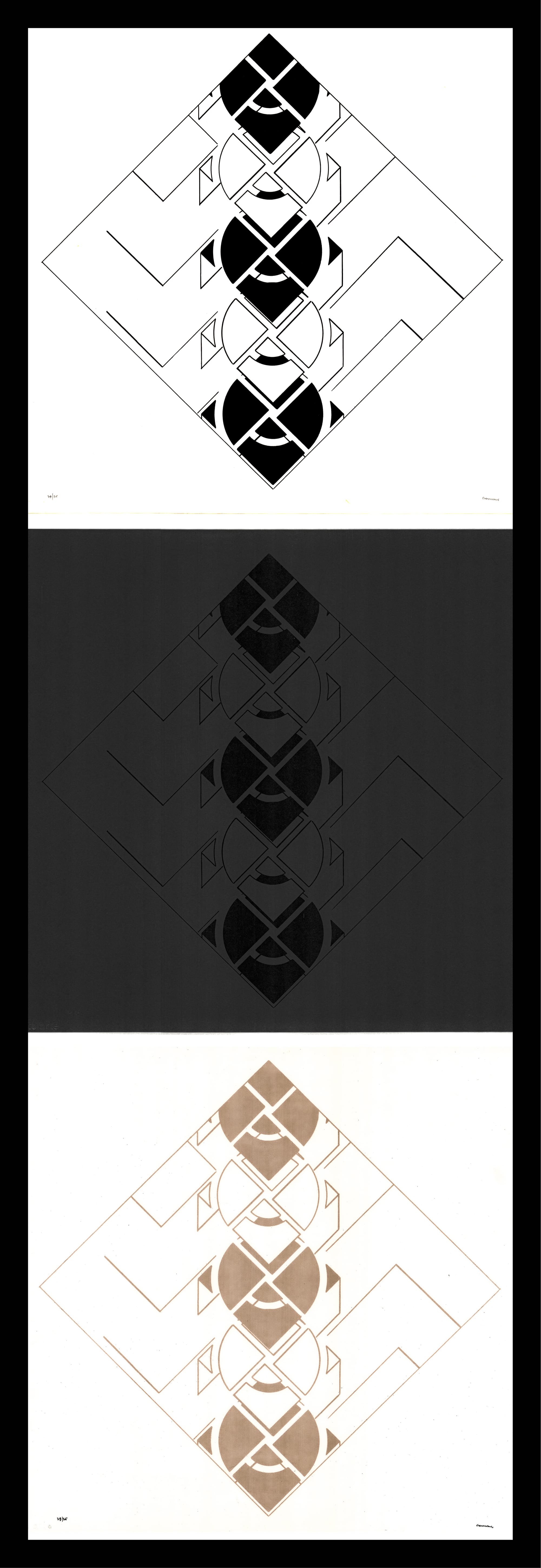 Lirismo poético y racionalidad estética