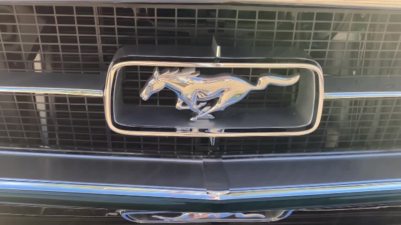 1967 Ford Mustang Fastback- Headed Home!