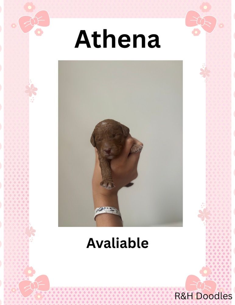 Athena