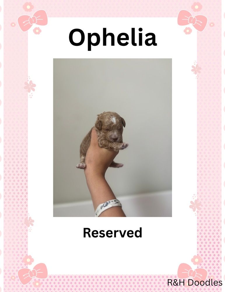 Ophelia
