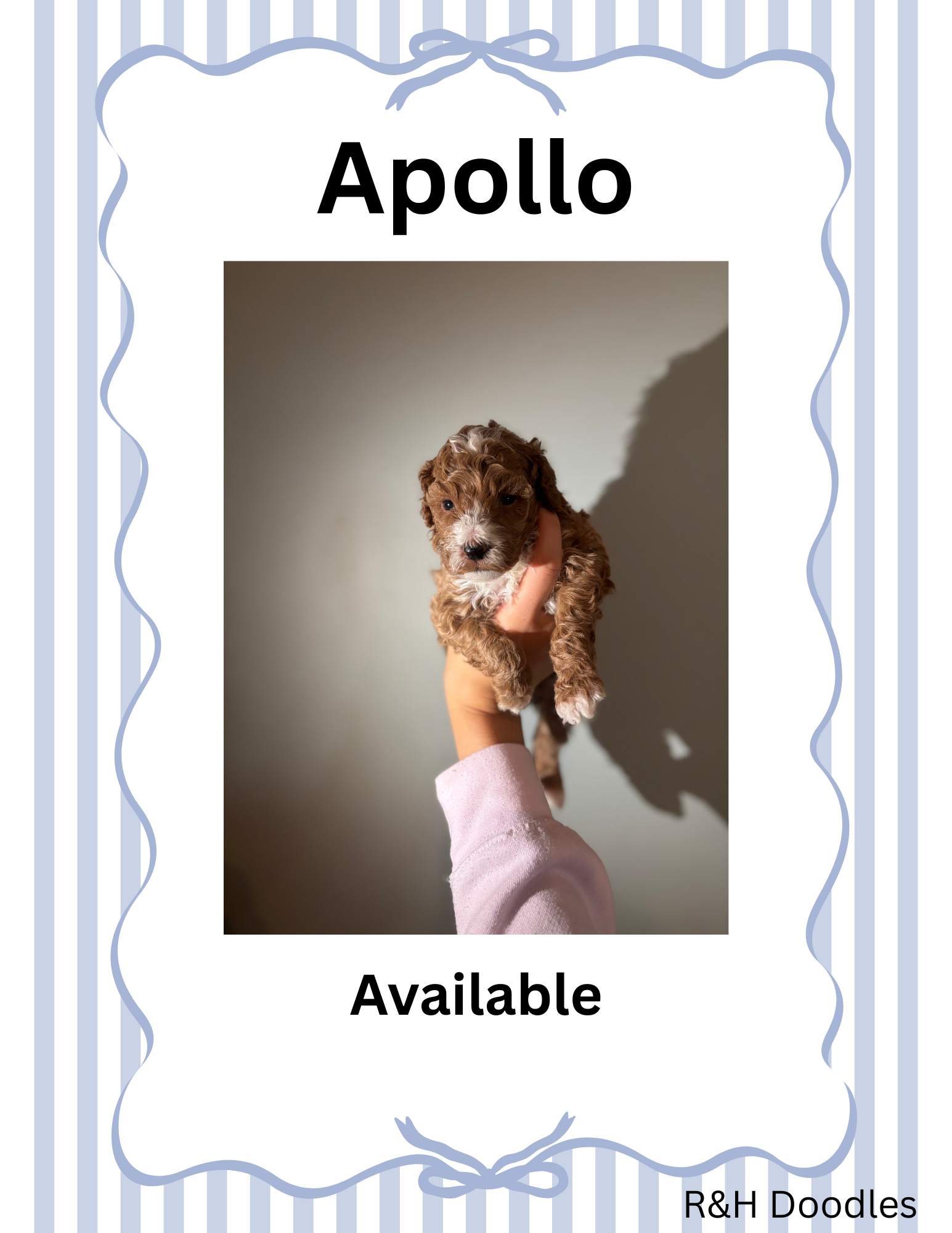 Apollo