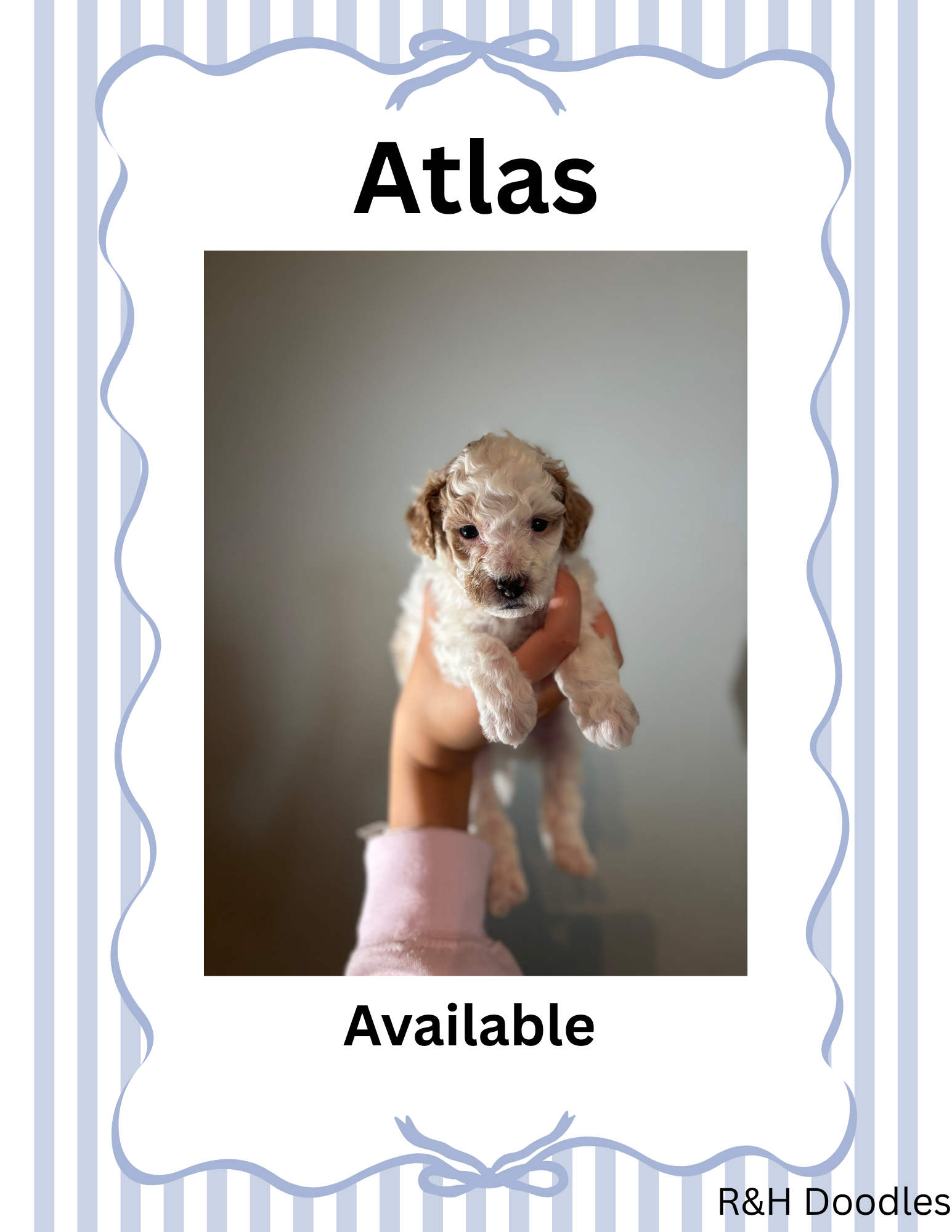 Atlas