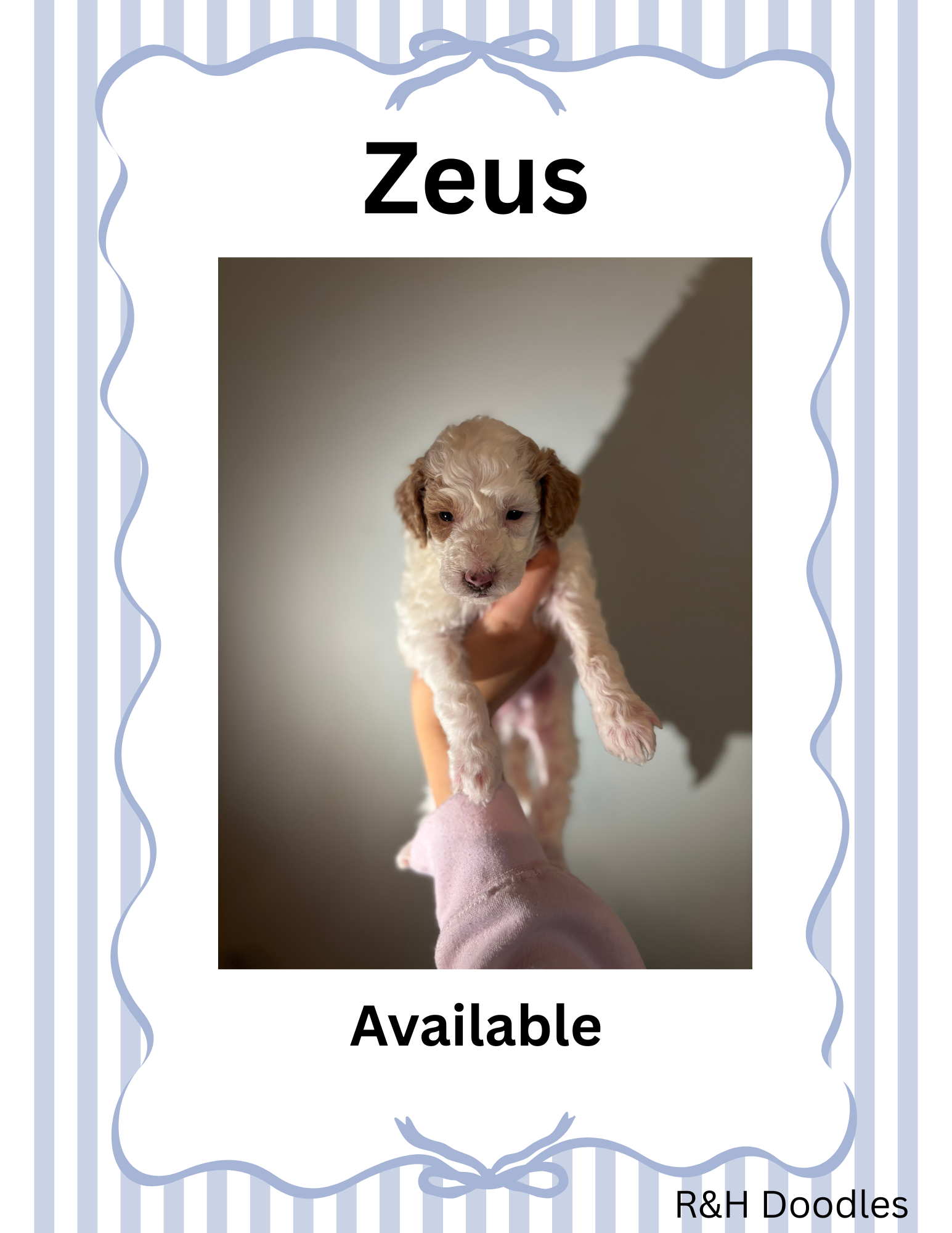 Zeus