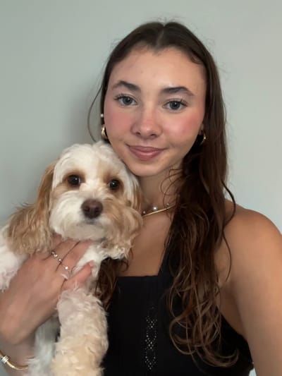 About My program image