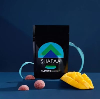 Exploring the World of Mushroom Dispensaries in Vancouver