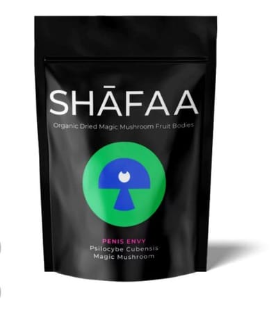 Exploring the Rise of Magic Mushroom Dispensary: A New Frontier in Natural Healing