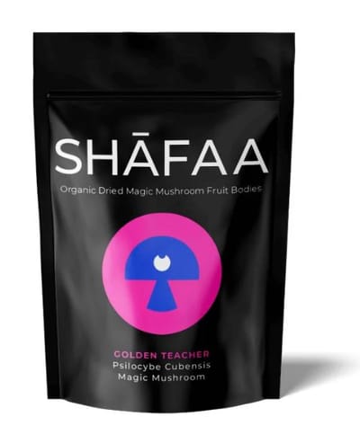 The Golden Teacher Shrooms: An In-Depth Look at Nature's Psychedelic Marvel