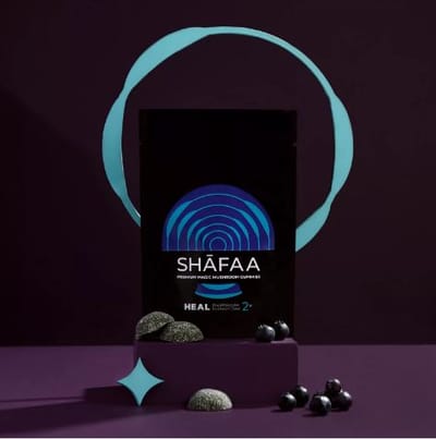 Exploring the Magic of Mushroom Dispensaries in Toronto