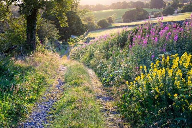 通过认识四种气，打开修行地图，找到修行路径