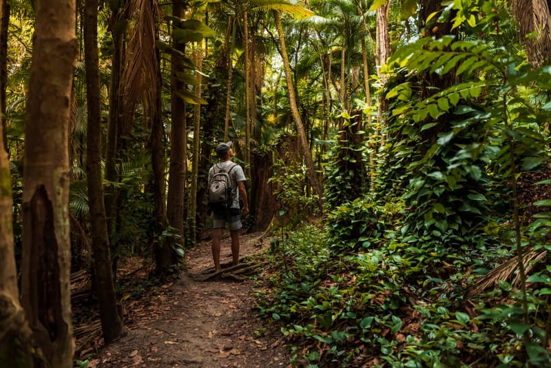 为什么修行反而让你更痛苦？转身即认得，当下的力量与真正的自由，修行者的觉醒之路