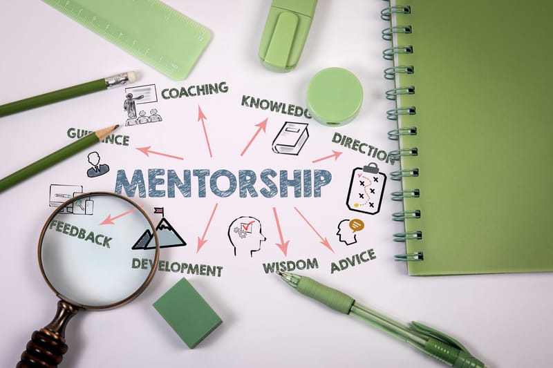 Business Foundations Mentorship