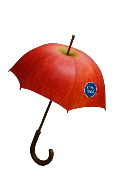 Apples Royal Gala 