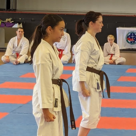 Seniors (3rd Kyu and above)