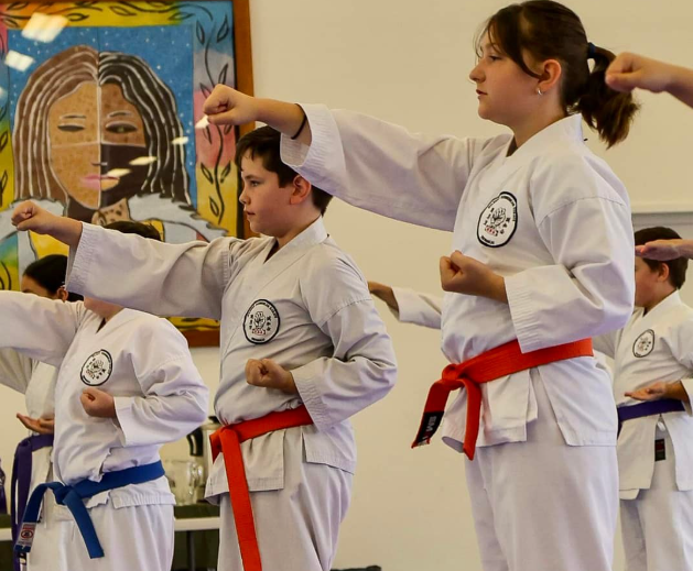 Beginners (Up to 7th Kyu)