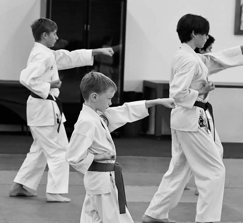 Intermediate (6th kyu - 3rd kyu)