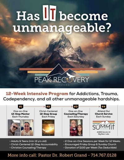 Peak Recovery Services image