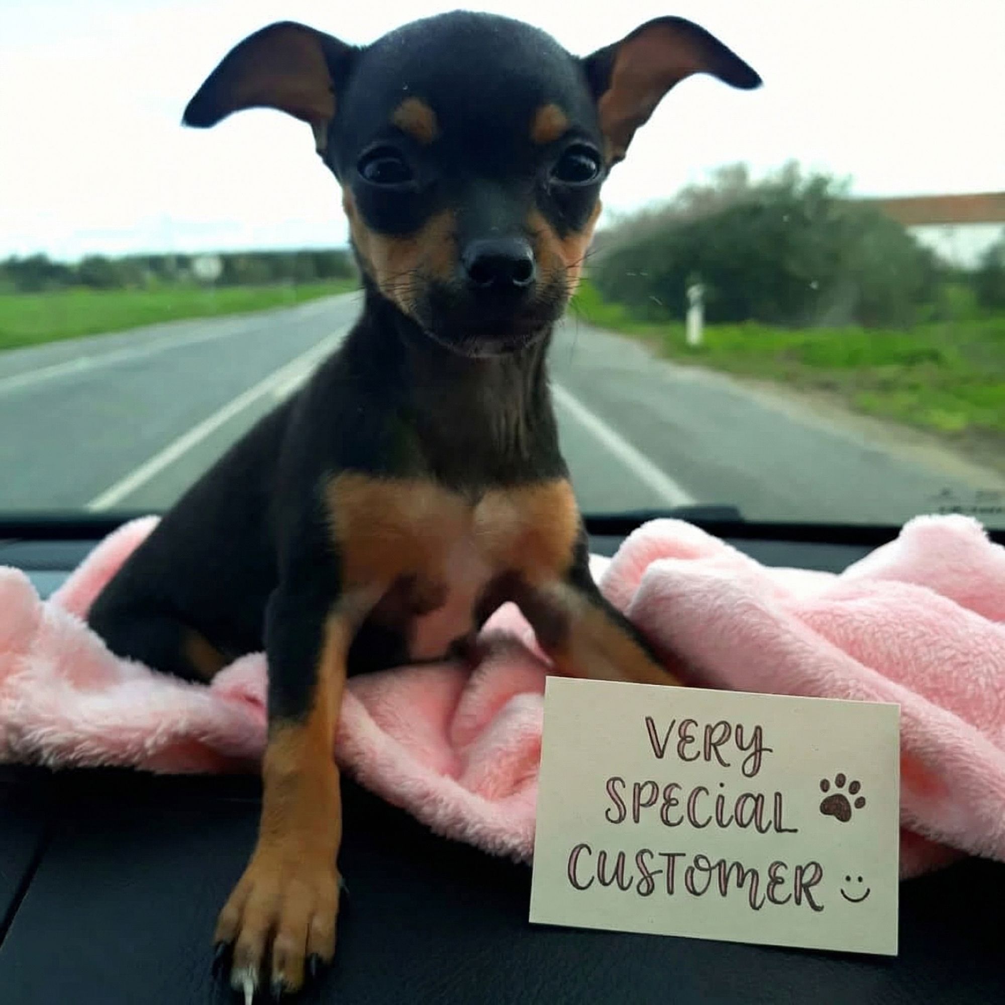 VERY SPECIAL CUSTOMER :)