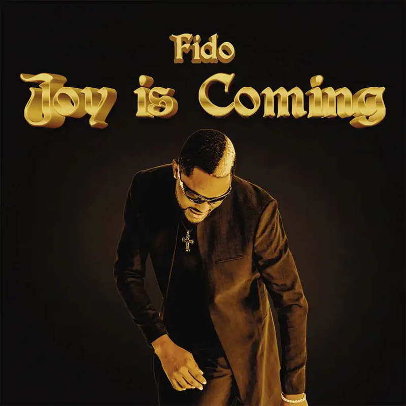 DOWNLOAD MUSIC MP3:- Fido – Joy Is Coming
