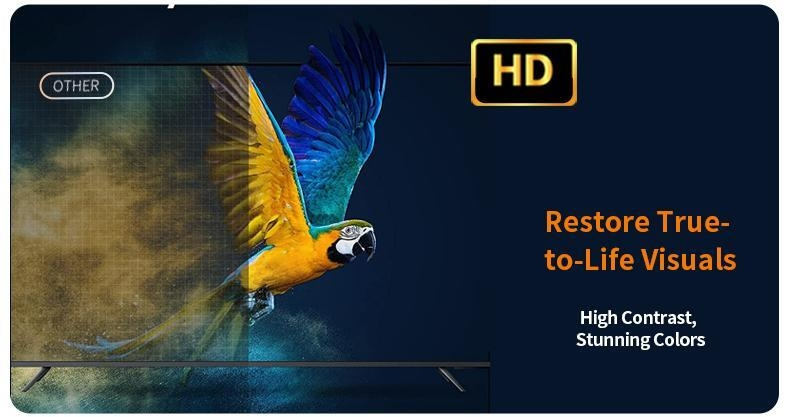 https://ng.jumia.is/cms/external/pet/LP445EA7IZXPXNAFAMZ/b4c346a428057527230310b4911ef8b4.jpg
