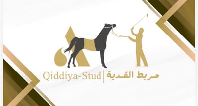 مربط وأكاديمية القدية للفروسية