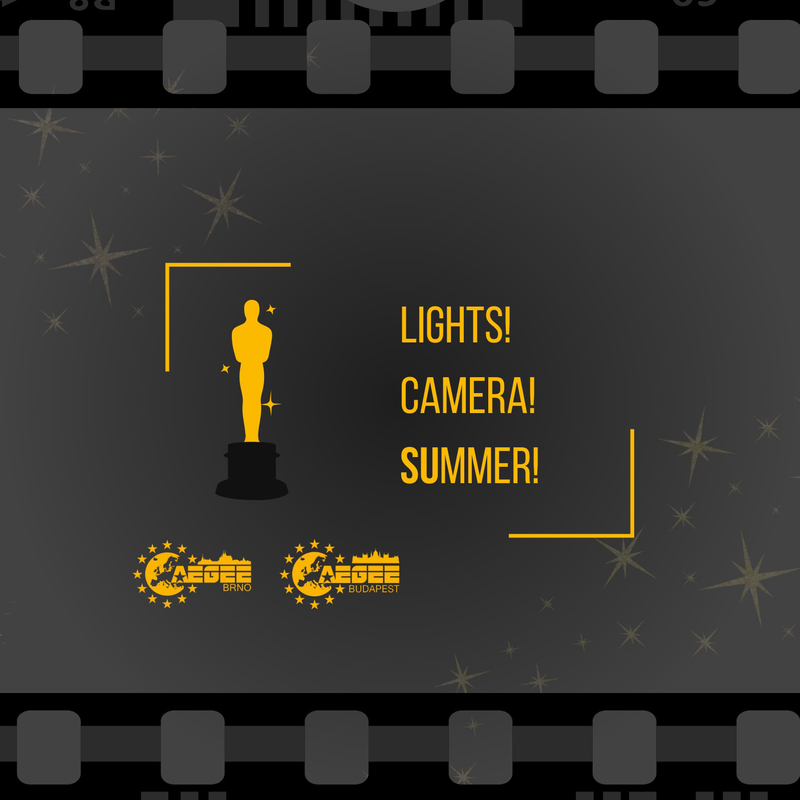 Lights! Camera! SUmmer!