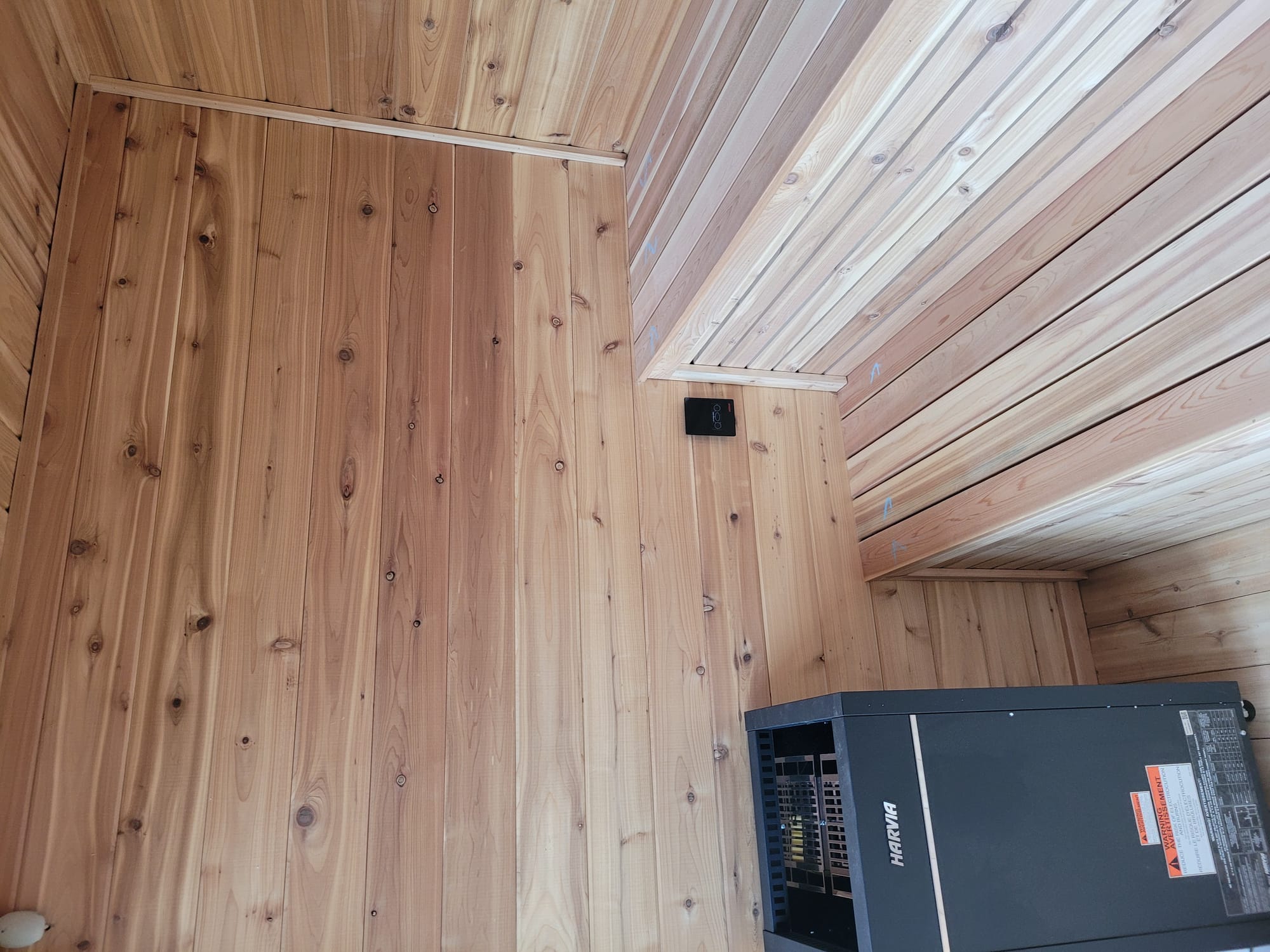 6x8 Vesion of Little Oaisis