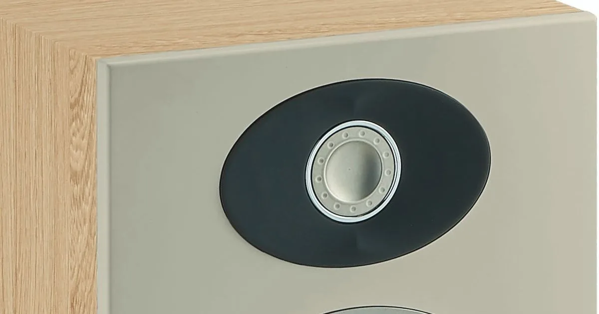 תמונת תקריב של הטוויטר של הרמקול Focal Theva N°3 