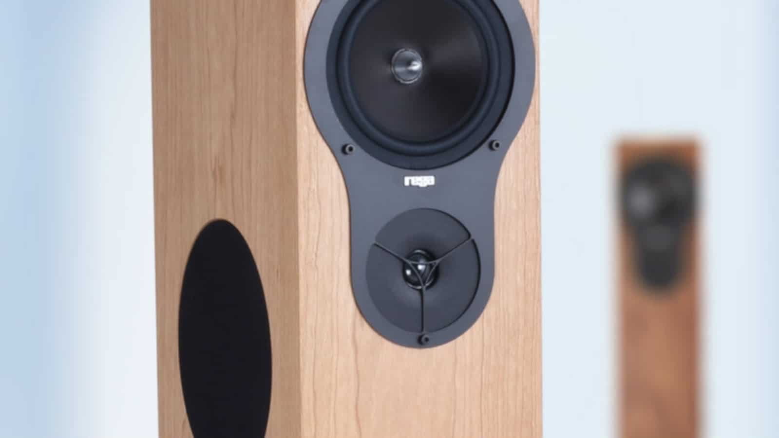 תמונה של זוג הרמקולים Rega RX3 עומדים אחד קרוב לעדשה והשני רחוק ממנה