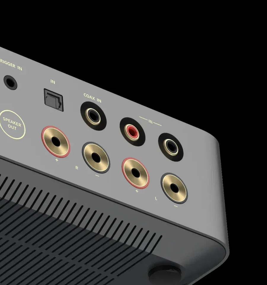 WiiM Vibelink Amp מצולם בחלקו האחורי עם כל החיבורים