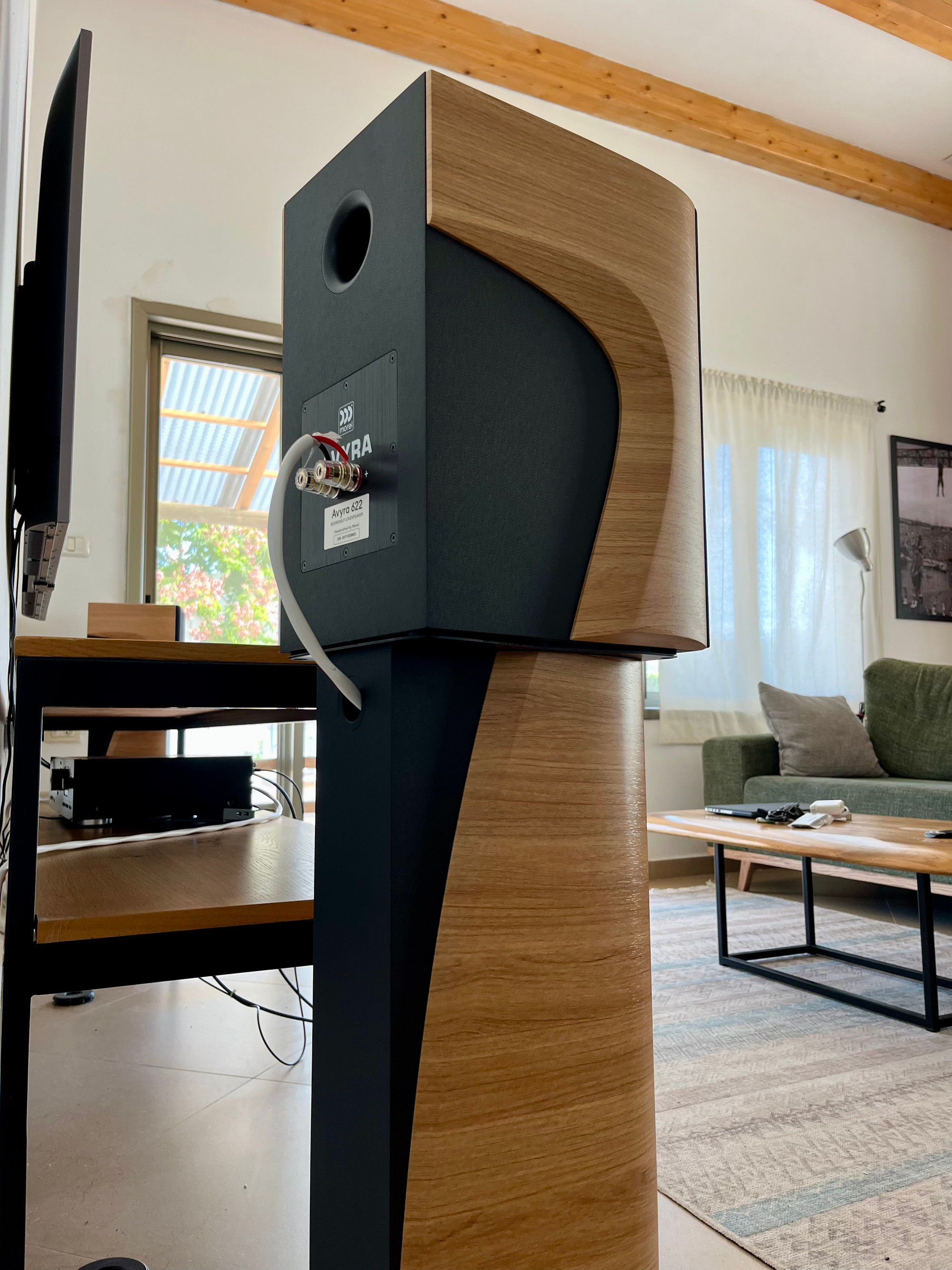 Morel Avyra 622 בהצגת תכלית