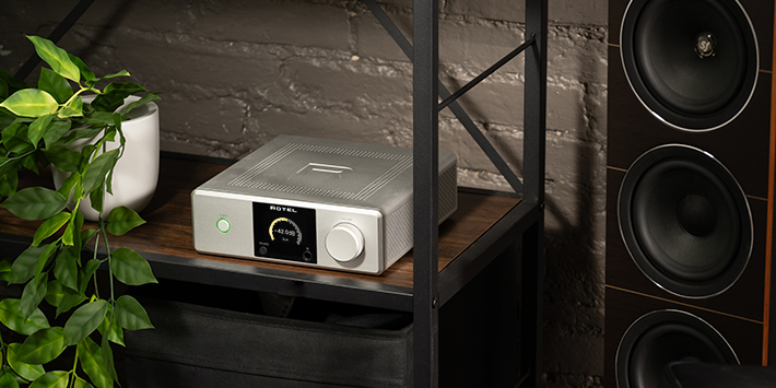 מערכת סטריאו All-in-One דגם Rotel DX-5 בגימור כסף בצילום זוויתי (Side View) על שידת עץ טבעי כהה, המדגיש את תצוגת הצבע הגרפית המרהיבה על רקע סלון מודרני מואר עם צמחייה ורמקול רצפתי על ידה