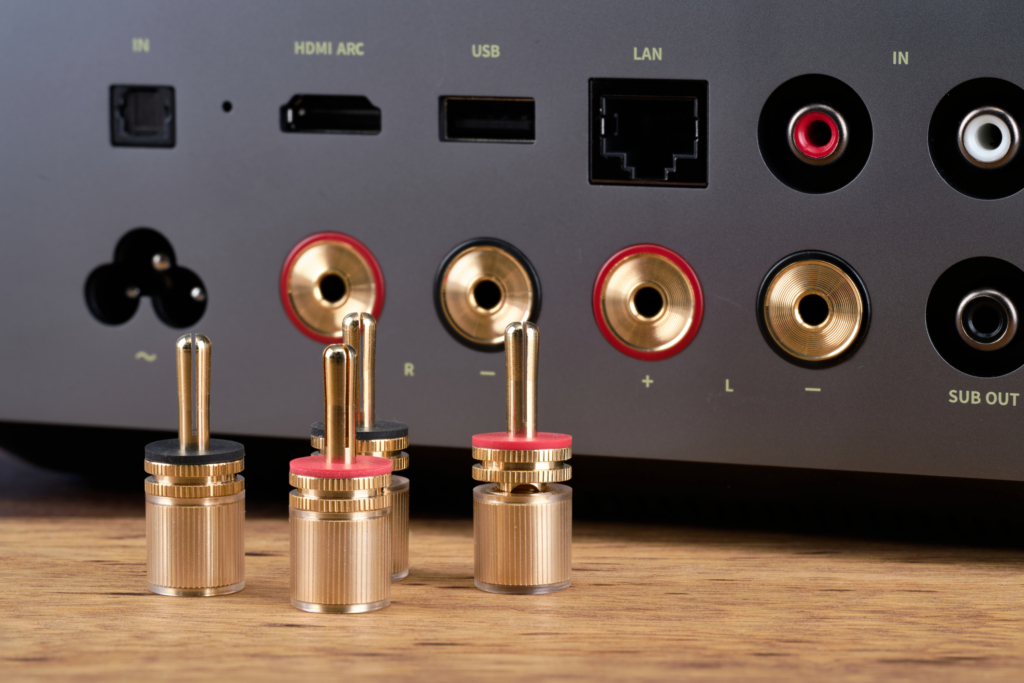 מגבר סטריאו סטרימר ווים WiiM Amp Ultra בצילום קרוב של פאנל החיבורים האחורי