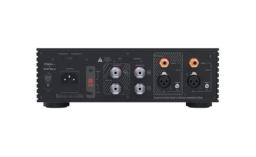 מגבר כוח סטריאו אברסולו Eversolo AMP-F2 בצילום של פאנל החיבורים האחורי