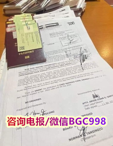 SEC13大特赦签证所需资料及基本办理流程