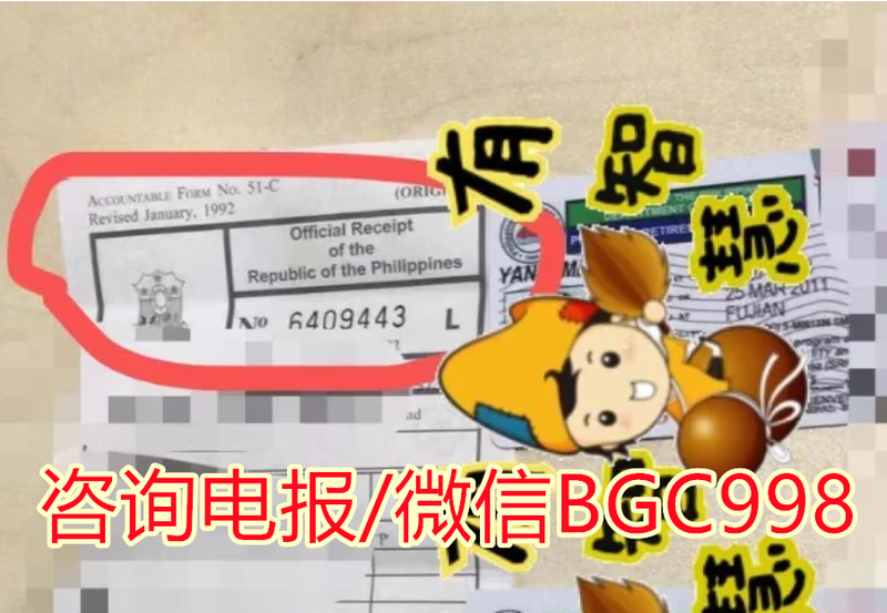 菲律宾商标注册后需要怎么维护？